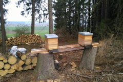 Wirtschaftsvölker nach dem Aufstellen